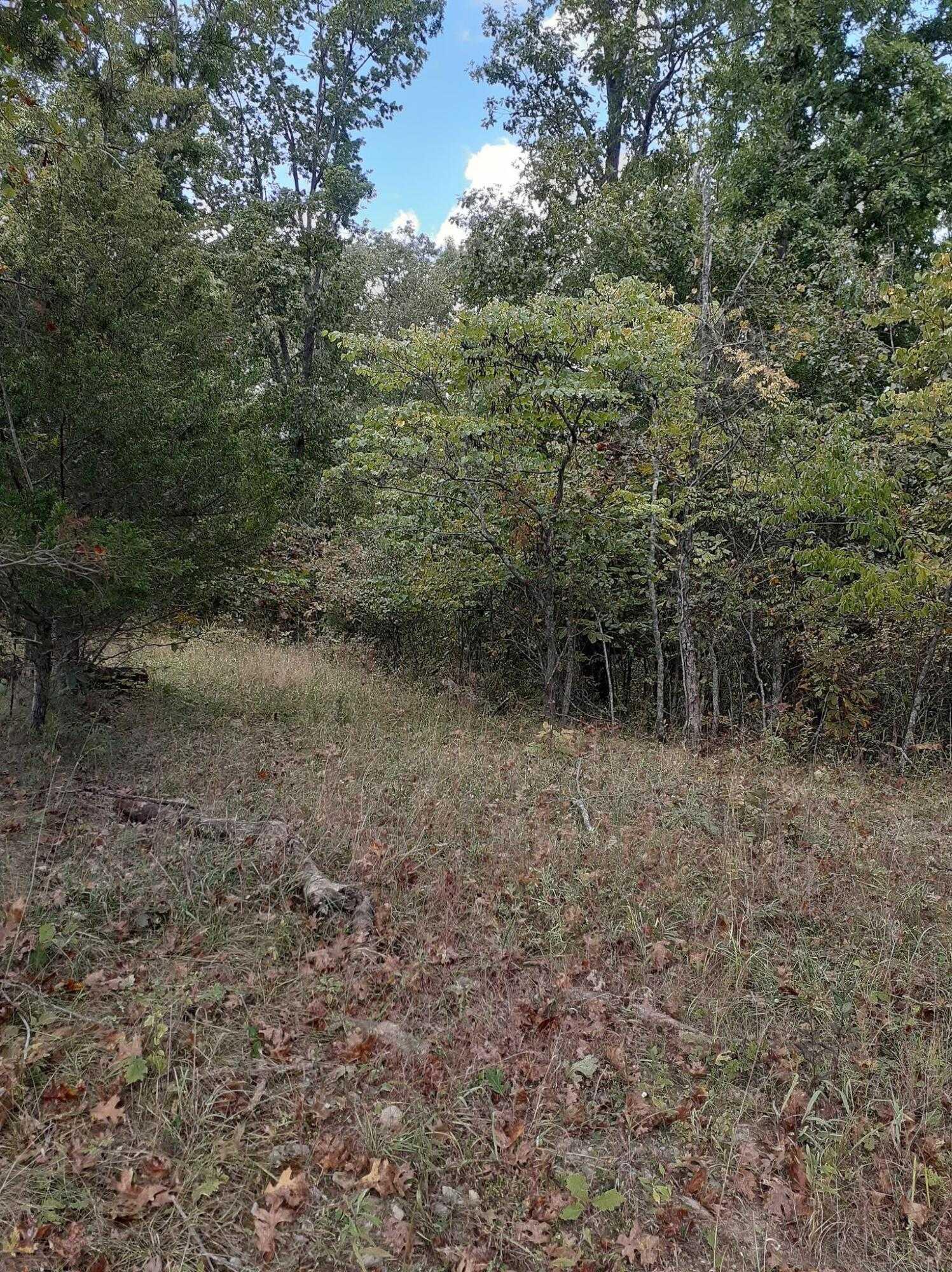 Lot 15 Apple, 22021586, Cynthiana, Farm/Land,  for sale, Hand In Hand Realty